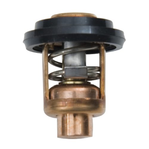 Sierra® Thermostat 60C - Yamaha®