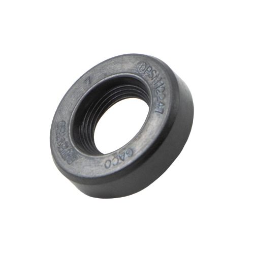 SPX LIP SEAL 12X24X7 DPSM